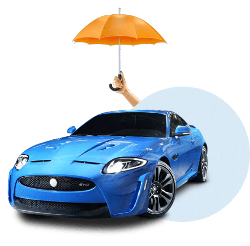 Carro Cotizador